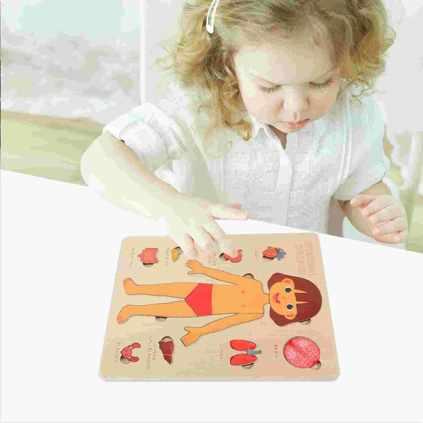Montessori-Holzspielzeug für Kinder – Puzzle zu menschlichen Körperorganen (Lernspiel)