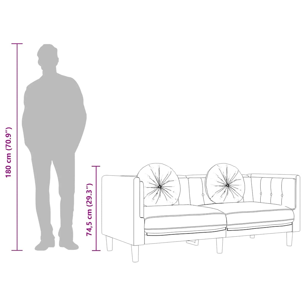 2-Sitzer-Sofa mit Samtbezug und Kissen